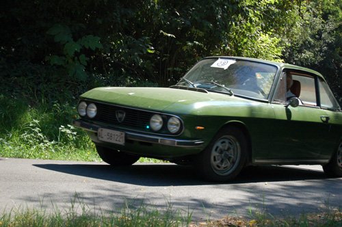 Gallo in prova speciale -Olivola 2018